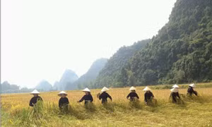 Xã biên giới Phong Châu cán đích nông thôn mới