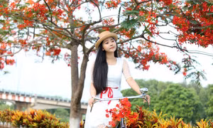Thanh âm mùa hạ