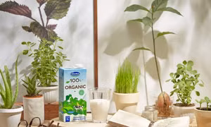 Vinamilk, công ty sữa đầu tiên sản xuất sữa tươi 100% Organic