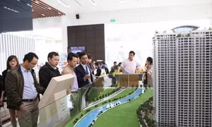 Đất Xanh miền Bắc tri ân khách hàng mua căn hộ Sapphire