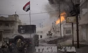 An ninh Iraq tiêu diệt 43 phần tử IS trong chiến dịch Mosul