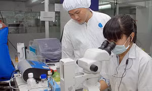 Cần những chính sách hiệu quả