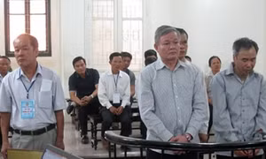 Hà Nội: Cấp đất giãn dân trái phép, nhóm cán bộ xã bị phạt tù 