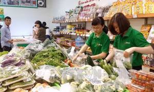 Hải Phòng xây dựng mô hình liên kết cho nông sản sạch