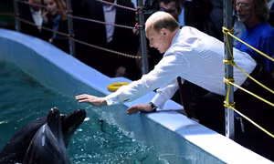 Nga khôi phục "đội lính đặc nhiệm" cá heo ở Crimea