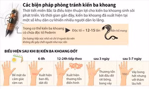 Các biện pháp phòng tránh kiến ba khoang