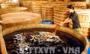 Giữ vững thương hiệu nước mắm truyền thống