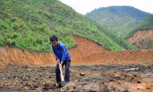 Khuyến khích đầu tư khai hoang, phục hóa và lấn biển 