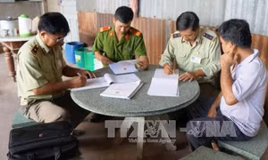 Phá đường dây mua bán hóa đơn chứng từ khống