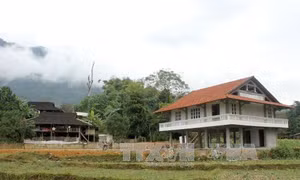 Tuyên Quang