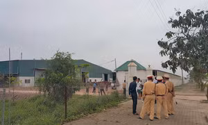 Nổ nồi hơi ở Nghệ An, nhiều người bị thương nặng 