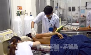 Thông tin chính thức về vụ nổ súng tranh chấp đất rừng ở Đắk Nông
