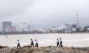 Chỉ có doanh nghiệp chịu trách nhiệm?