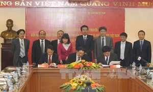 Nâng cao hiệu quả công tác nội chính và phòng, chống tham nhũng
