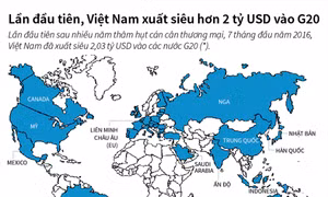 Lần đầu tiên Việt Nam xuất siêu hơn 2 tỷ USD vào G20