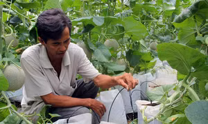 Tháo “nút thắt” ứng dụng khoa học công nghệ 