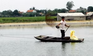 Bắc Giang