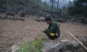 Lục Khu đau đáu chờ mưa - Bài cuối