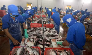 Gỡ khó cho xuất khẩu nông sản 