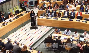 Dấu ấn Việt Nam trong ECOSOC