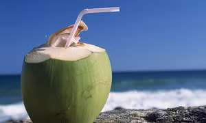 Đó là quả dừa