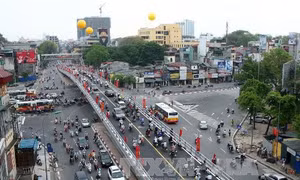 Hà Nội tạm đình chỉ Phó phòng Quản lý vận tải