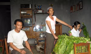 An cư, lạc nghiệp nhờ Nghị quyết 30a