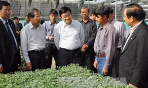 Chủ tịch nước thăm một số mô hình nông nghiệp tại Lâm Đồng