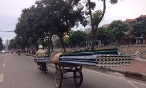 Thêm một người chết vì bị tôn cứa cổ