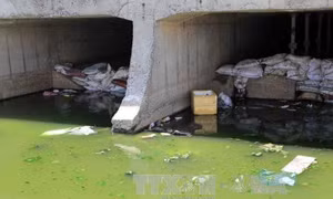 Đề nghị xử phạt Công ty Việt Phước xả thải ra sông Sài Gòn
