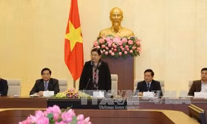 Phó Chủ tịch Quốc hội Tòng Thị Phóng tiếp đoàn học sinh xuất sắc năm 2016 