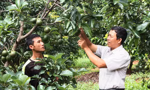 Khởi nghiệp hướng đến phát triển bền vững - Bài cuối