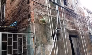 Hải Phòng quyết liệt xử lý tình trạng chung cư cũ nát