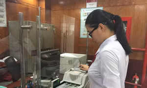 Thêm bước tiến chống đô la hóa nền kinh tế 