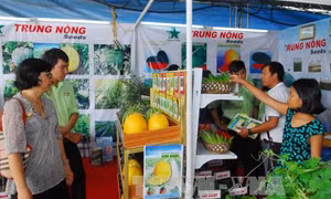 Thị trường bán lẻ trước sức ép của doanh nghiệp ngoại - Bài 2