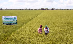 Cần một cuộc “chuyển đổi lớn”