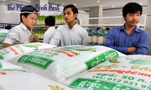 Trung Quốc mua 200.000 tấn gạo/năm của Campuchia 