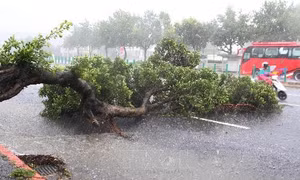 Cảnh báo: 2 ngày tới, Hà Nội có thể mưa rất to và dông mạnh