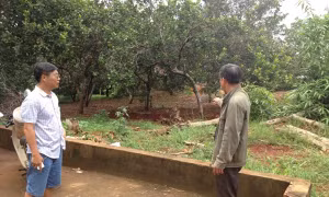 Khởi tố vụ án hành hung công an cưỡng chế ở Bình Phước