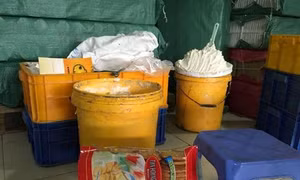 Tiêu hủy kem trộn “bẩn” trong bánh Tân Hoàng Gia