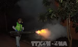 Kỹ thuật mới phun diệt muỗi phòng chống vi rút Zika
