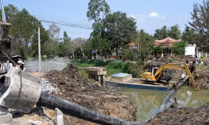 Tân Phú Đông chật vật đối phó hạn, mặn 