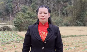Chi hội trưởng Phụ nữ làm kinh tế giỏi