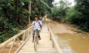 Nông dân nghèo làm cầu cho học sinh tới lớp