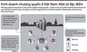 Nhượng quyền thương hiệu 'Made in Vietnam' mới chỉ là khởi đầu