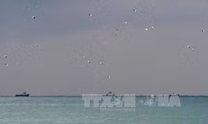 Nga loại trừ yếu tố khủng bố trong vụ rơi máy bay Tu-154