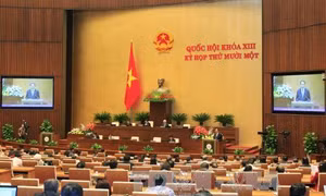 Việt Nam cấp thị thực 1 năm cho công dân Hoa Kỳ 