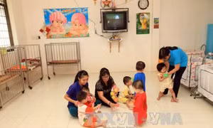 Ngăn ngừa, xử lý các hành vi không tuân thủ pháp luật trong lĩnh vực nuôi con nuôi quốc tế