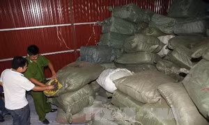Phát hiện gần 10 tấn nguyên liệu thuốc bắc nghi nhập lậu