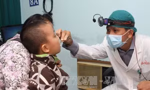 Cúm A (H1N1) dễ tấn công và lây lan khi chuyển mùa 